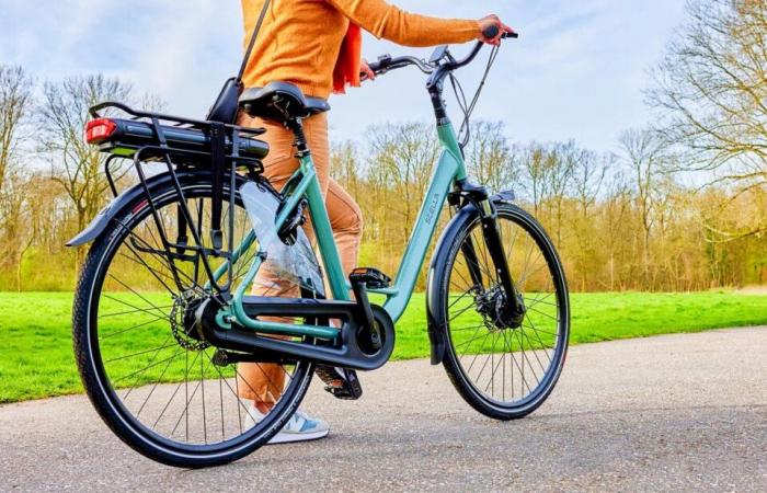 Esta importante marca holandesa de bicicletas eléctricas corre peligro de quebrar