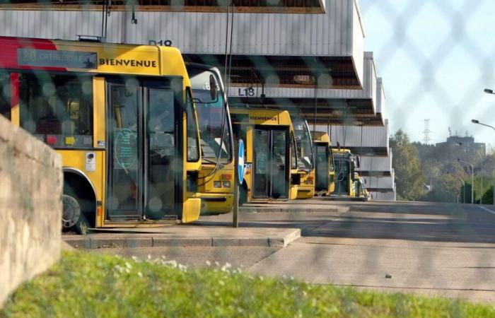 En Lieja, fuertes perturbaciones en los autobuses