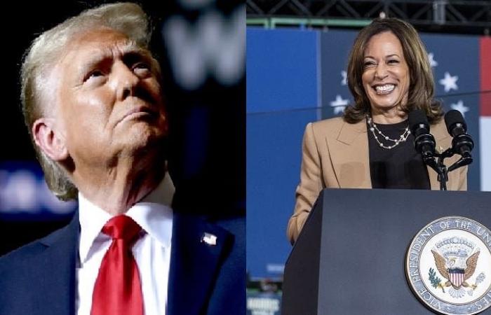 EE.UU.-Elecciones: Harris o Trump, ¿qué impactos tiene para África? (investigador) | APAnoticias