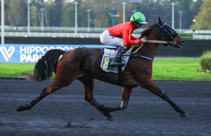 Lacinia brilla con Eric Raffin en su debut en Vincennes