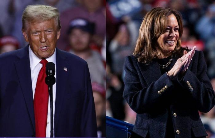 DIRECTO. Elecciones presidenciales americanas de 2024: Harris ha terminado su campaña, Trump da su última reunión, los primeros votantes acuden a las urnas, sigue la jornada en lindependant.fr