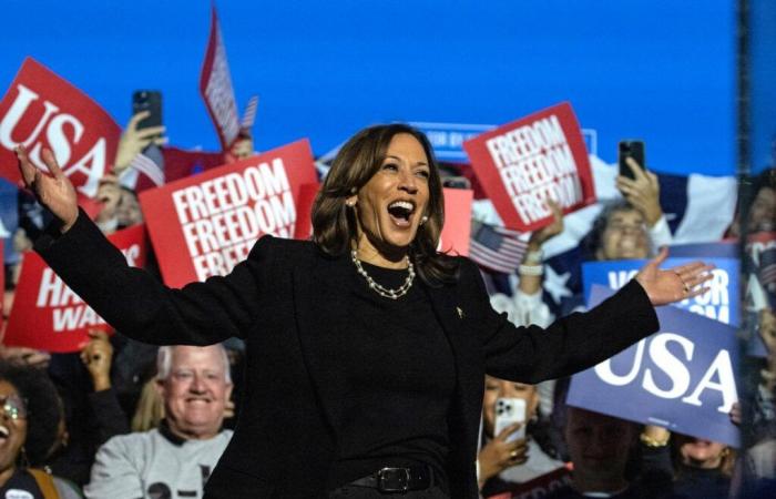 Selzer, esta encuesta en Iowa que podría dar una gran victoria a Kamala Harris