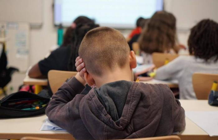 Neuchâtel endurece las condiciones para la educación en casa