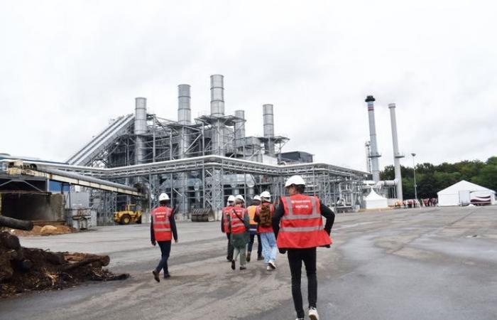 Un incendio en la fábrica de paneles de madera Swiss Krono en Sully-sur-Loire