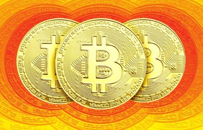 El precio de Bitcoin alcanza un nuevo máximo ante la anticipada victoria de Trump