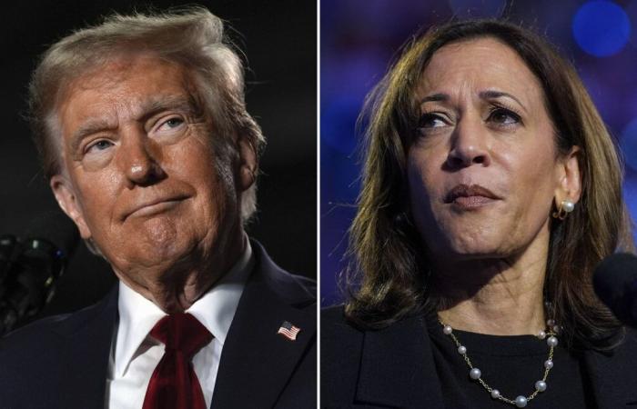 Millones de estadounidenses se preparan para decidir entre Kamala Harris y Donald Trump…