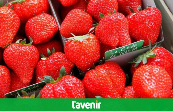 Intermarché prohíbe las fresas y las cerezas en sus lineales en Francia: ¿qué pasa con los supermercados belgas?