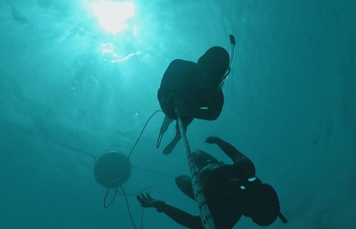 Descubre el mundo del silencio y el buceo en apnea con el campeón Guillaume Néry