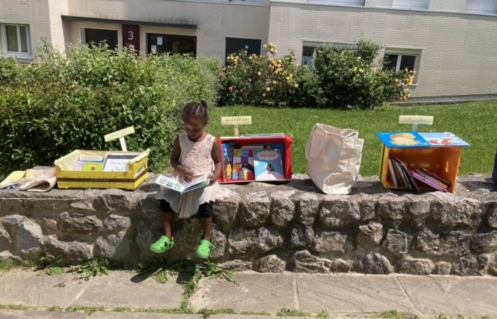 Esta librería de Eure lidera una acción para ofrecer un libro a los niños del Secours Populaire