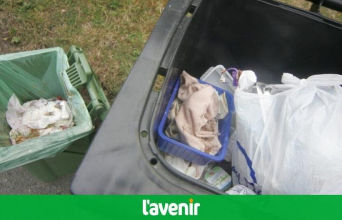 El precio de los contenedores de basura aumenta en Rouvroy, excepto para las personas aisladas, para las que el coste del duobacs se mantiene en 170 euros