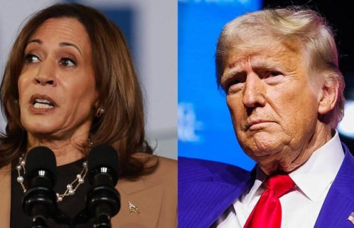 Los votantes de Texas votan mientras Donald Trump y Kamala Harris se enfrentan en las elecciones presidenciales de 2024