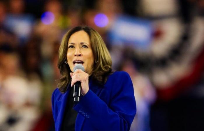 Blazer, Converse: cómo Kamala Harris hizo de su guardarropa un activo durante su campaña