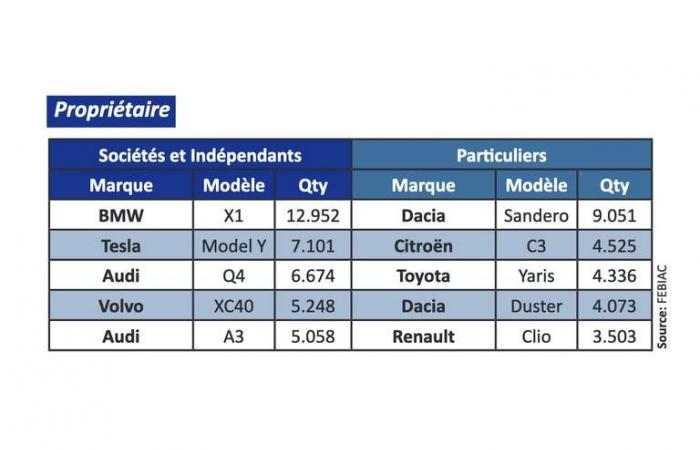 Análisis: los coches más populares en Bélgica (2024)