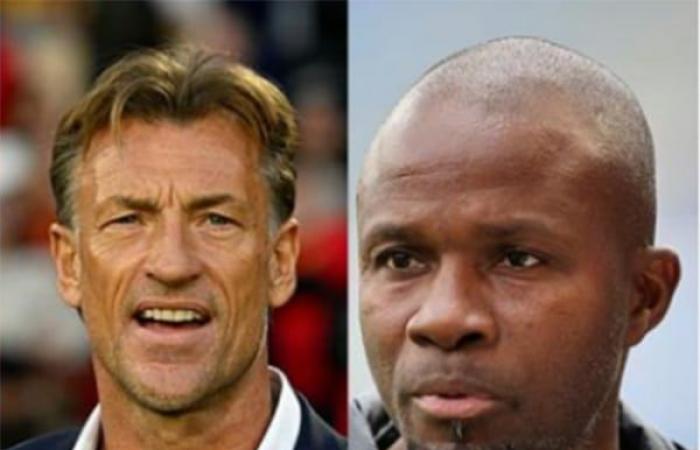 Revelación sobre su no aparición en el banquillo de los Lions: Hervé Renard quería a Omar Daf como asistente – Lequotidien