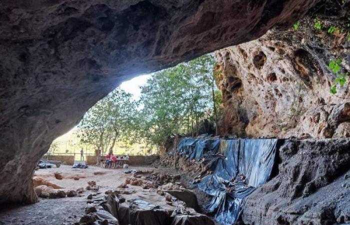 El uso “médico” de hierbas más antiguo del mundo fue descubierto en la Cueva de la Paloma en Tafogalt, con 15.000 años de antigüedad – Hoy 24