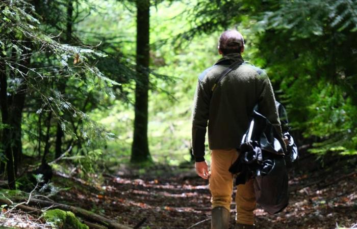 Al acecho con el fotógrafo de vida salvaje Bastien Prévost en Haute Corrèze