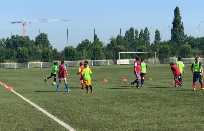 “Los insultos ocurren todos los fines de semana”: por qué el club AS Hersoise de Toulouse se declara en huelga contra la violencia en el fútbol