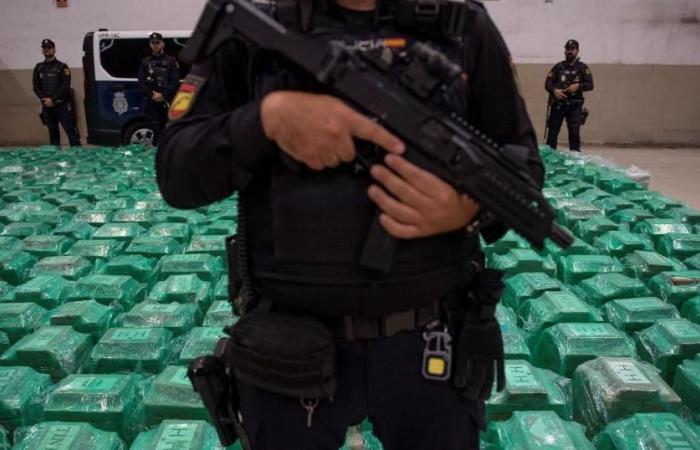 Incautación récord de 13 toneladas de cocaína en España, todas escondidas en un cargamento de plátanos – rts.ch