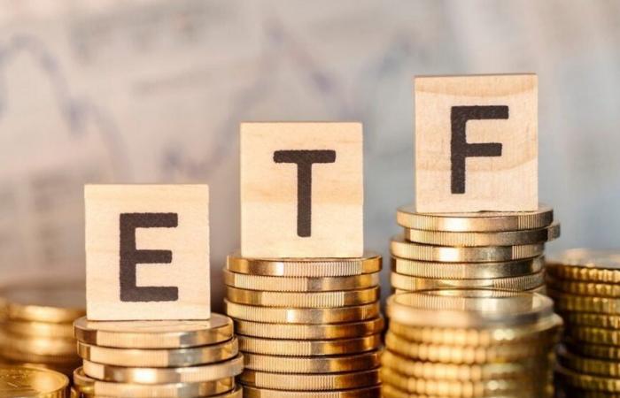 Lo que significan las elecciones estadounidenses para el futuro de los ETF criptográficos