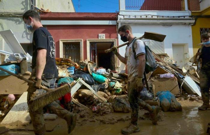 La Generación Z se moviliza para ayudar a las víctimas de desastres: “Fueron geniales”