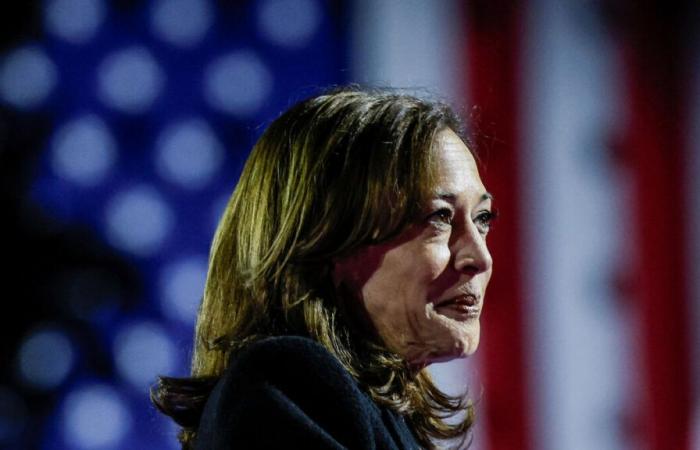 Elecciones presidenciales de Estados Unidos: Vermont, Maryland, Connecticut… los estados ganados por Kamala Harris