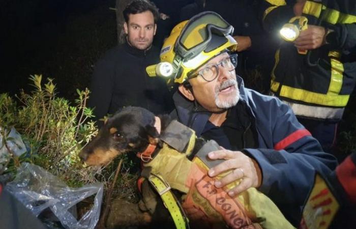 El increíble rescate de un perro en una cavidad en los Pirineos Orientales