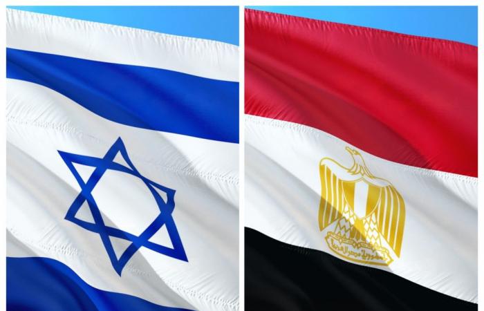 Solicitud de embargo de armas a Israel: Egipto se suma al llamamiento de Turquía ante la ONU