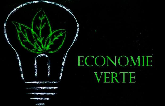 Estados Generales de la Economía Verde 2024: Descarbonización, un desafío global (Nota de prensa) – VivAfrik