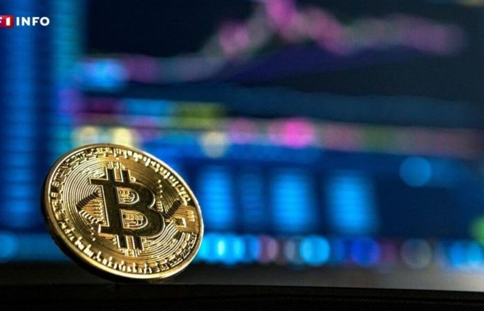 Récord del Bitcoin en 75.000 dólares, impulsado por una posible victoria de Donald Trump en Estados Unidos