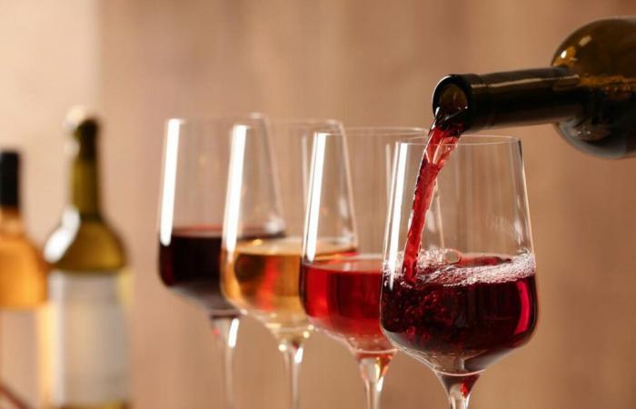 aprender a catar vinos tintos