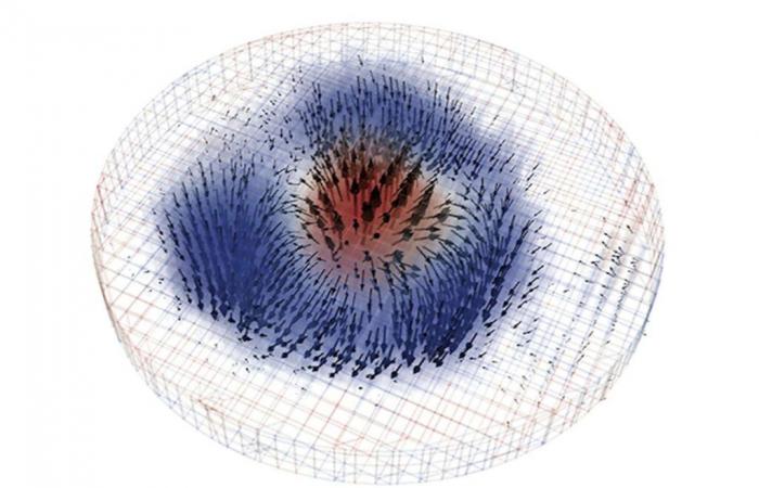 Los investigadores obtienen la primera imagen en 3D de un skyrmion magnético