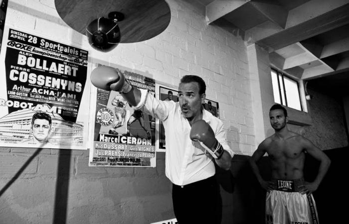 LIBRO>BOXEO>FOTOS>CINE – Info-lux.com