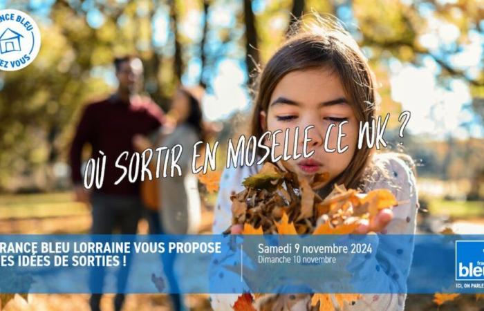 France Bleu Lorraine te ofrece: dónde salir en Mosela este fin de semana del 9 y 10 de noviembre????