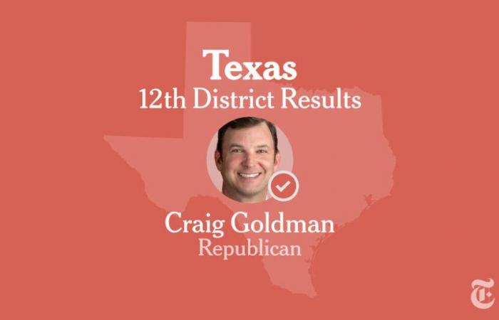 Resultados de las elecciones del duodécimo distrito del Congreso de Texas 2024: Hunt vs.Goldman