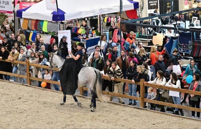 Maine y Loira. Faltan pocos días para la inauguración del Salón Ecuestre de Angers