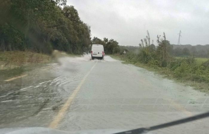 un desastre natural en 44 municipios