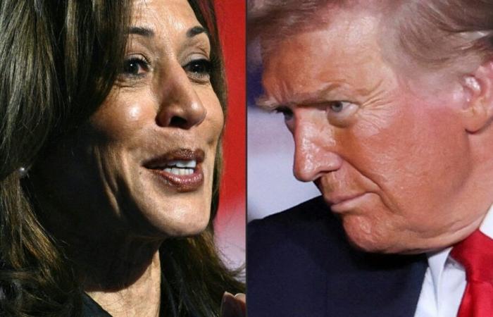 ¿La historia se repite? ¿Qué sucede si Trump y Harris ganan el 5 de noviembre? las secuelas de las elecciones estadounidenses | Noticias del mundo