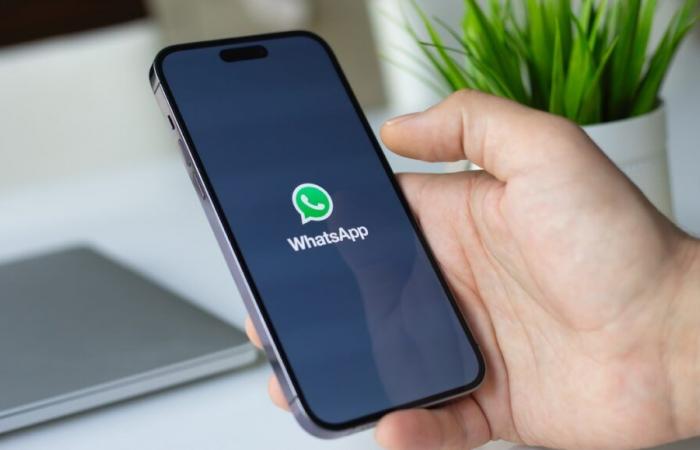 WhatsApp lucha contra la desinformación con esta nueva función