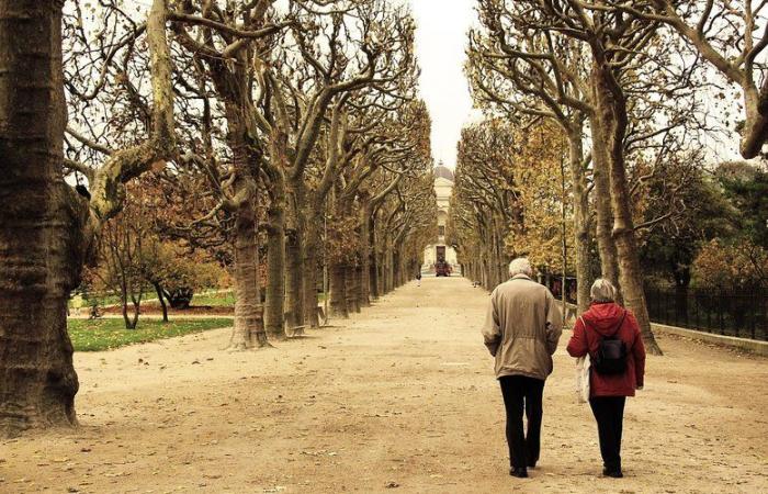 “Cada día sufrimos”: una pareja de expatriados estadounidenses regresan a Estados Unidos después de un año, ya que no pueden soportar vivir en Francia