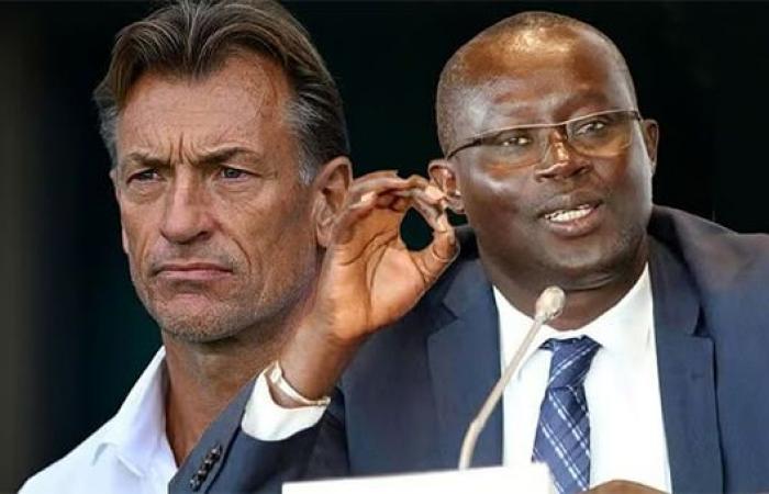 Leones del personal – Me Senghor desmiente a Hervé Renard: “No recibí el expediente de su solicitud” – Lequotidien