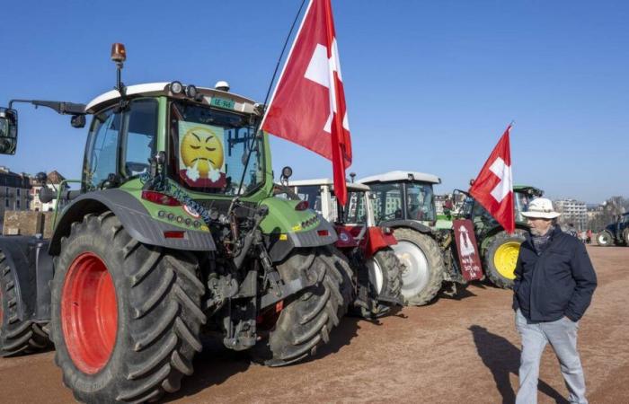 Gran distribución: pagar el precio justo a los agricultores