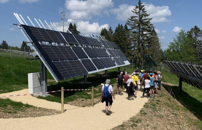 Finaliza la comparación de módulos solares.