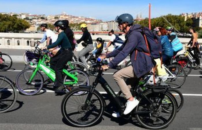 El abandono del plan de bicicletas es “totalmente inaceptable” para las autoridades locales