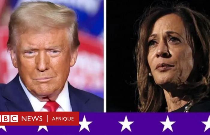 Donald Trump o Kamala Harris: cómo se perfilan los resultados electorales y qué está pasando en los estados clave que definen la batalla por la Casa Blanca