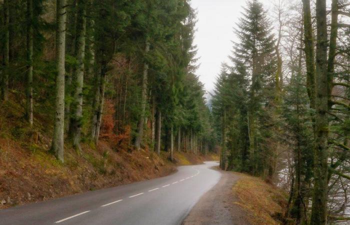 Quería castigar a su hijo de 6 años dejándolo solo de noche en el bosque, el niño se aferra al auto y es arrastrado