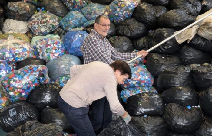 catorce toneladas de corchos recogidos y un prolífico acuerdo con la quesería