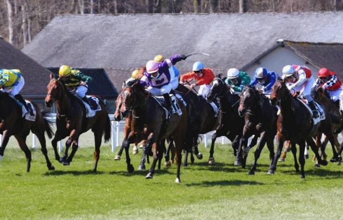 El mundo de las carreras de caballos en huelga, todas las carreras canceladas el jueves