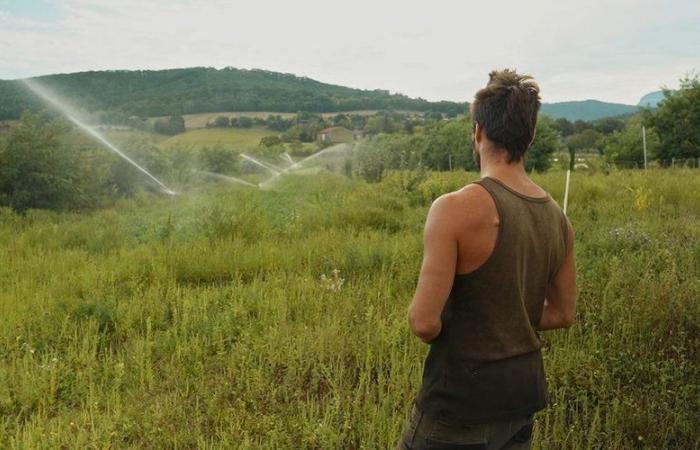 “La teoría del boxeador”: debate cinematográfico para el regreso del Festival Alimenterre a Montesquiou en el Gers