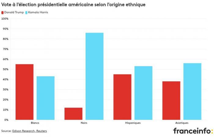 ¿Por quién votaron las mujeres, los jóvenes o las minorías étnicas?