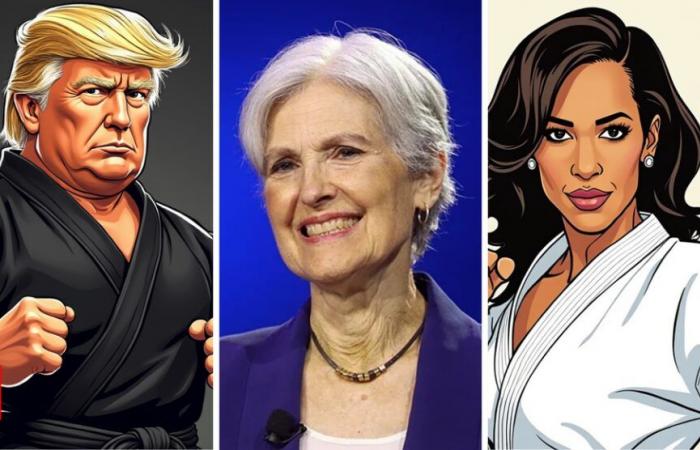 Impacto de Jill Stein en las elecciones estadounidenses de 2024: Elecciones estadounidenses de 2024: ¿Ayudó Jill Stein a Donald Trump a superar a Kamala Harris en un estado indeciso crucial? | Noticias del mundo